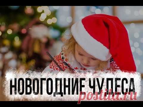 Александр Цыпкин рассказ 