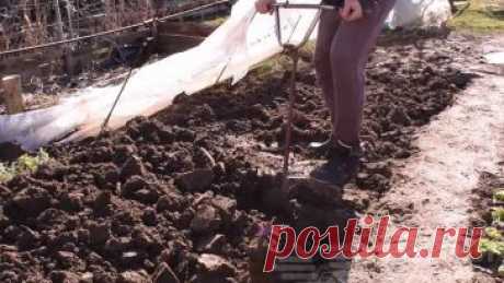 Сделай своими руками — Сделай сам