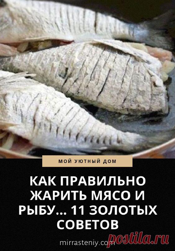 КАК ПРАВИЛЬНО ЖАРИТЬ МЯСО И РЫБУ… 11 ЗОЛОТЫХ СОВЕТОВ | delay-rukami
