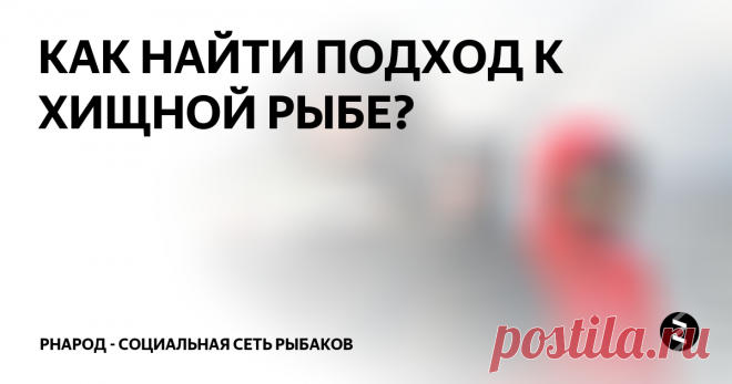 КАК НАЙТИ ПОДХОД К ХИЩНОЙ РЫБЕ? Статья на портале РНарод
Все мы, так или иначе, привыкли искать хищника на водоеме, перемещаясь от бровки к бровке, от коряжки к травке, или на оборот. Так или иначе, активно перемещаться, подбирать приманки. Но в некоторые дни достаточно лишь встать на удобное место и ждать подхода хищника.
