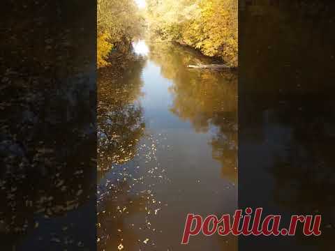 Прощай, осень - YouTube