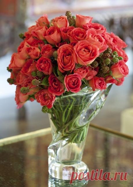 Найдено на сайте images.search.yahoo.com.