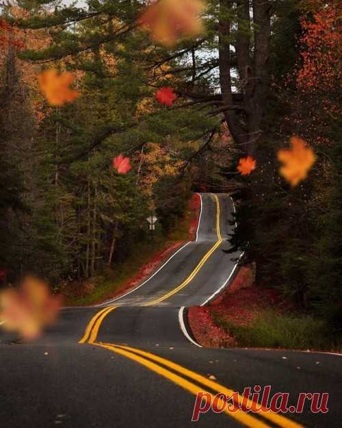 tumblr_56cf31bab507e43b4c0532b2356f12d3_11134764_500.jpg (Изображение JPEG, 500 × 625 пикселов)
