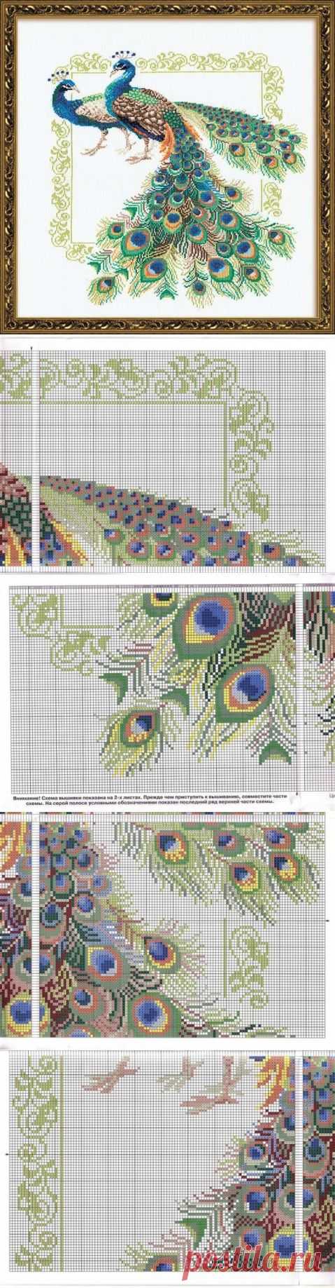 Схема вышивки ПАВЛИНЫ жакардовый узор / Вышивка / Схемы вышивки крестом