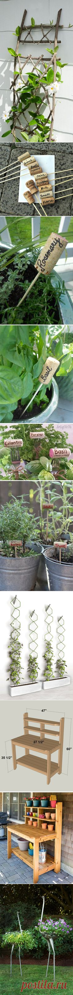 (1059) This is an adorable idea for the climbing plants! | School Garden