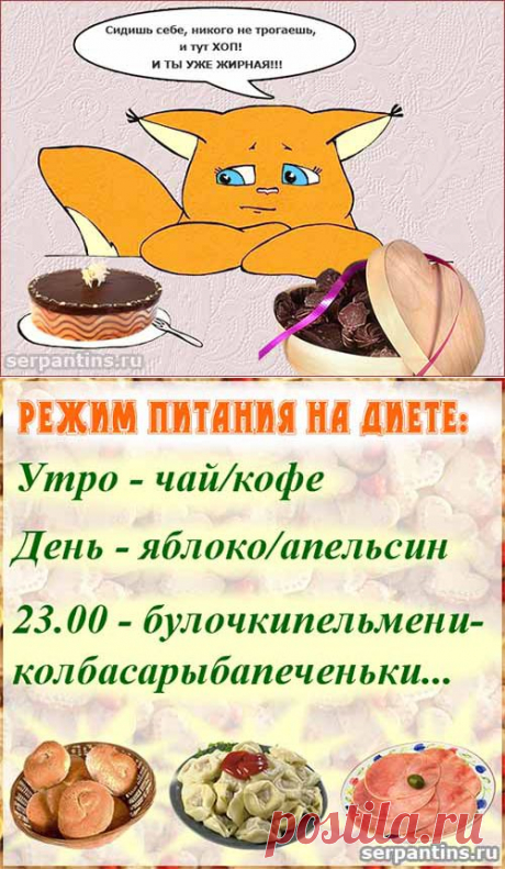 Про диету с юмором. Вредные советы в стихах, как нужно сидеть на диете | Серпантин