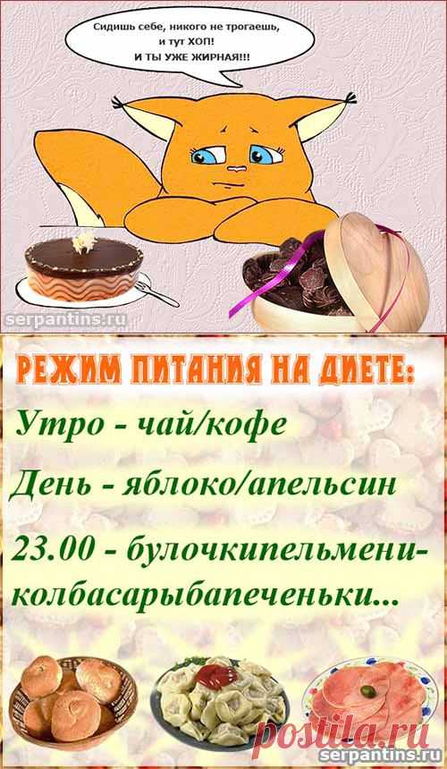 Про диету с юмором. Вредные советы в стихах, как нужно сидеть на диете | Серпантин