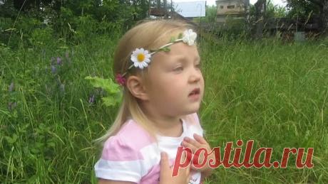 (2) Одноклассники