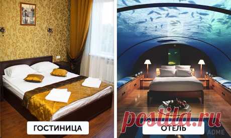 ПОСИДЕЛКИ ПОЗНАВАТЕЛЬНЫЕ