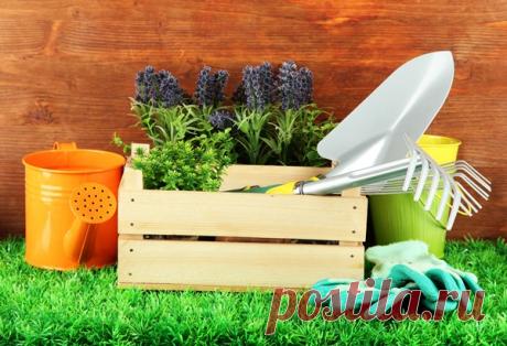 Лунный посевной календарь на 2017 год