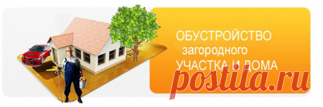Как обрезать старый, запущенный крыжовник
