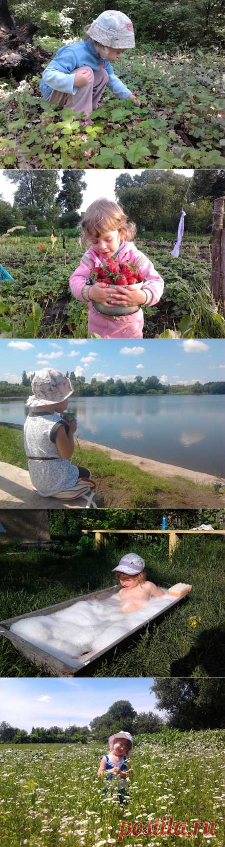 Приключения Надюшки в селе Кривошеи)