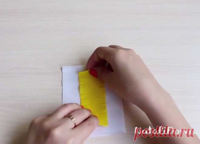 (5) Facebook