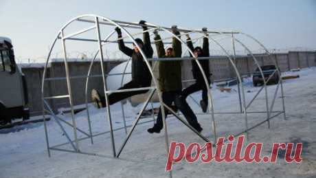 Теплица для дачи | Я и дача | Яндекс Дзен