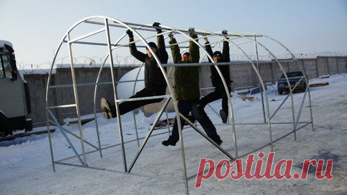 Теплица для дачи | Я и дача | Яндекс Дзен