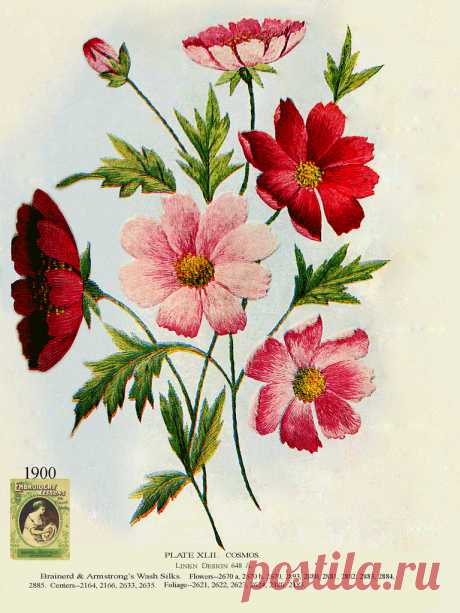 Brainerd &amp; Armstrong  XLII 1900