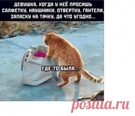 b2996745.png (905×774)