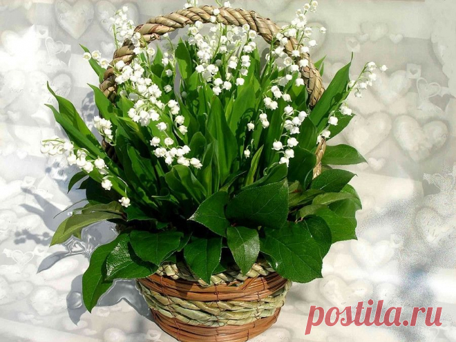 Фото Без названия. Альбом Фото группы - 24426 фото. Фотографии Мысли вслух - Улыбка сердцем.