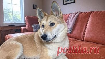 Во всем виноваты Гены - OGADANIE.RU