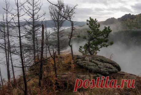 Прогулка по туману
fotonik2