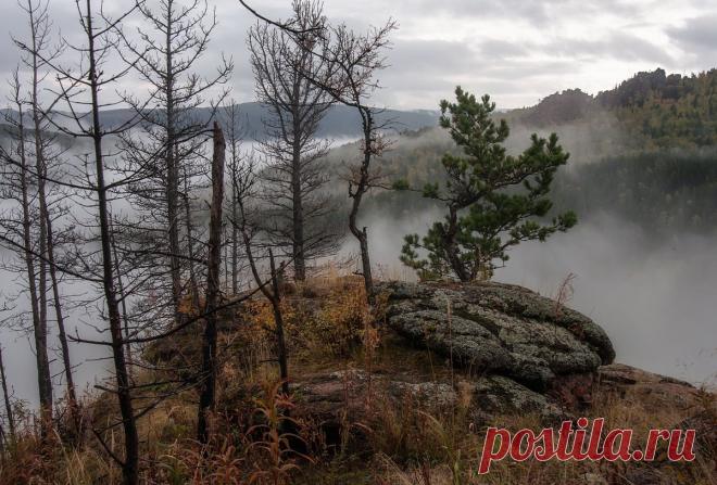 Прогулка по туману
fotonik2