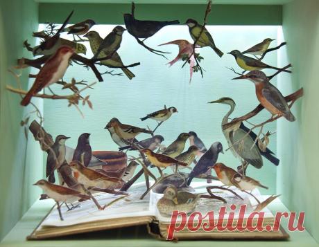 все имеет свой закат.и только ночь заканчивается рассветом