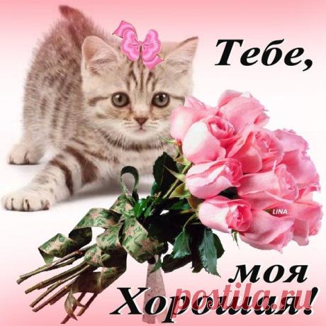 Новости