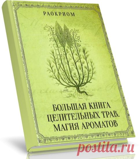Большая книга целительных трав. Магия ароматов

«Большая книга целительных трав. Магия ароматов» является на сегодняшний день самым полным энциклопедическим сборником с уникальной информацией о лекарственных #травах, сборах, настоях, в том числе и #редких, используемых в традиционной и #нетрадиционной медицине. В работе огромное внимание уделено #магическим свойствам трав, анализу их использования в ритуалах и обрядах различных религиозных направлений и мистических учений....