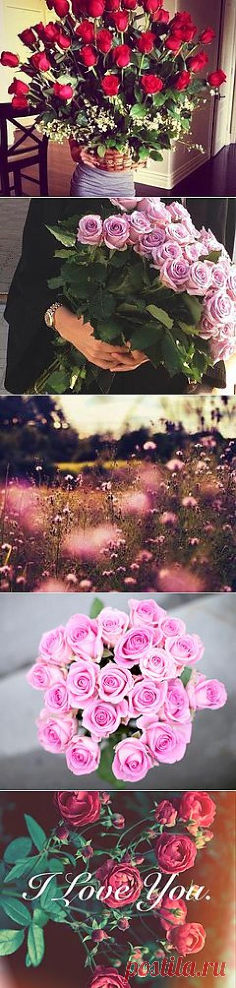 Цветочки:*