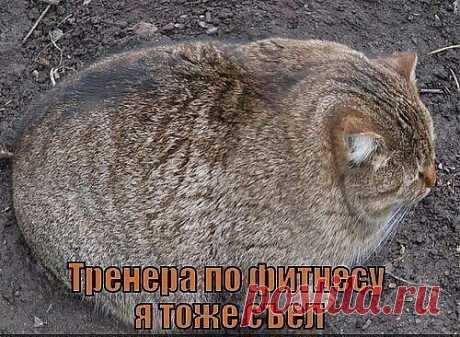(+1) - Фото, вызывающие эмоции... продолжение | ОБОРЖАКА ;)