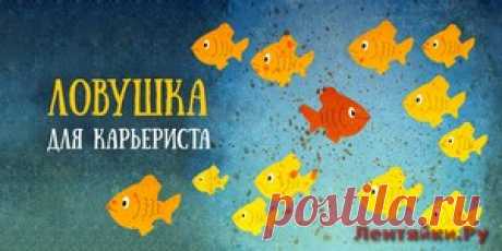 Ловушка для карьериста: как мечты о повышении губят ваш внутренний потенциал | ЛЕНТЯЙКИ.РУ