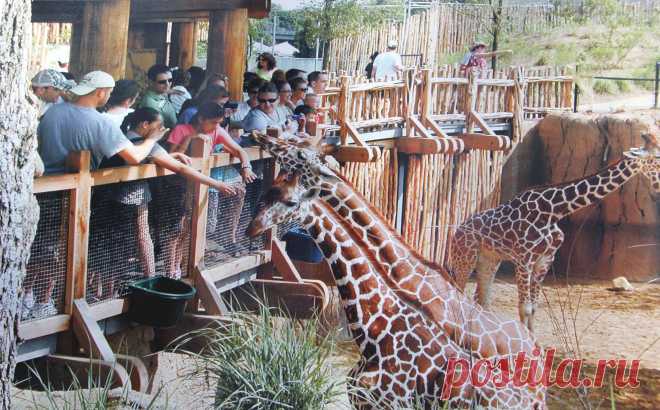 Как будет выглядеть зоопарк Алматы после реконструкции. Фрагменты. Tengrinews.kz