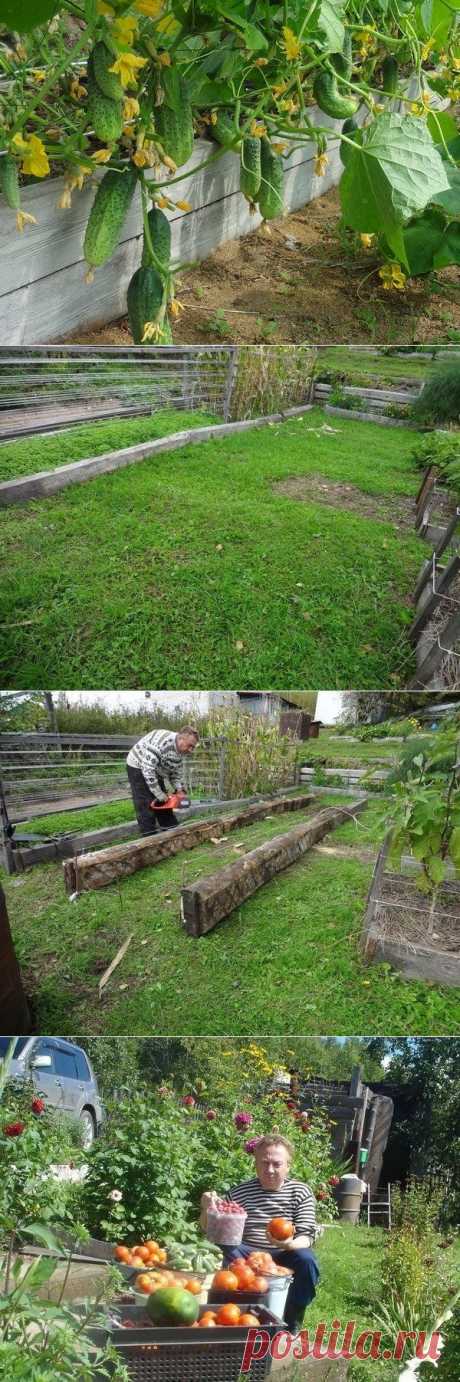 Урожайная грядка-короб от Игоря Лядова