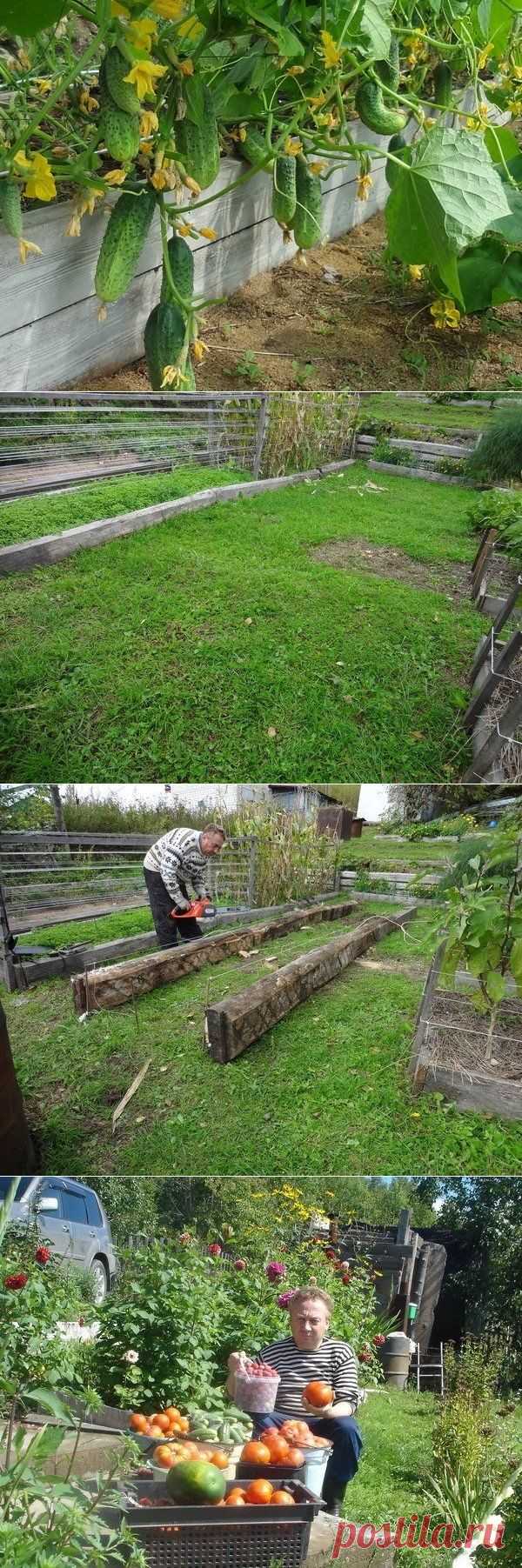 Урожайная грядка-короб от Игоря Лядова