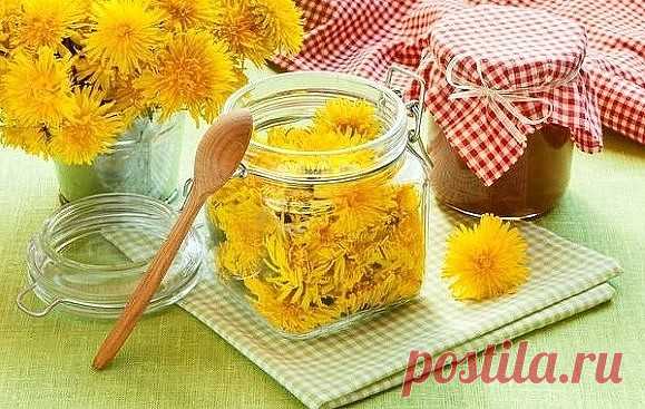 Одуванчик лечит и чистит печень.