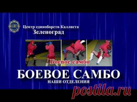 Зеленоград спорт с 3 до 60 лет.Центр единоборств Каллиста.https://2015kallista.com/