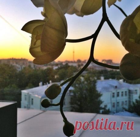 КАКОЙ СЕГОДНЯ ПРАЗДНИК? 12 Марта 2019 г. – Вторник • День запрета на уныние • Всемирный день ананаса • День компьютерного глюка • День работников уголовно-исполнительной системы РФ140 лет • Всемирный день против кибер-цензуры (World Day Against Cyber Censorship) • День посадки деревьев - Китай • День девочек-скаутов (National Girl Scout Day) - США • День запечённых морских гребешков (National Baked Scallops Day) - США • День независимости - Маврикий51 год • День молодёжи - Замбия • День…