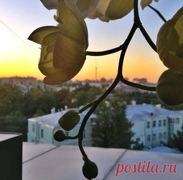 КАКОЙ СЕГОДНЯ ПРАЗДНИК? 12 Марта 2019 г. – Вторник • День запрета на уныние • Всемирный день ананаса • День компьютерного глюка • День работников уголовно-исполнительной системы РФ140 лет • Всемирный день против кибер-цензуры (World Day Against Cyber Censorship) • День посадки деревьев - Китай • День девочек-скаутов (National Girl Scout Day) - США • День запечённых морских гребешков (National Baked Scallops Day) - США • День независимости - Маврикий51 год • День молодёжи - Замбия • День…