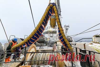 В России оказалось некому платить за постройку рыболовецких судов. Предприятиям Объединенной судостроительной корпорации (ОСК) не хватает десятков миллиардов рублей для строительства рыболовецких судов в рамках государственной программы «квоты под киль». При этом идти на дополнительные расходы некому — платить не хотят ни заказчики, ни сами верфи.