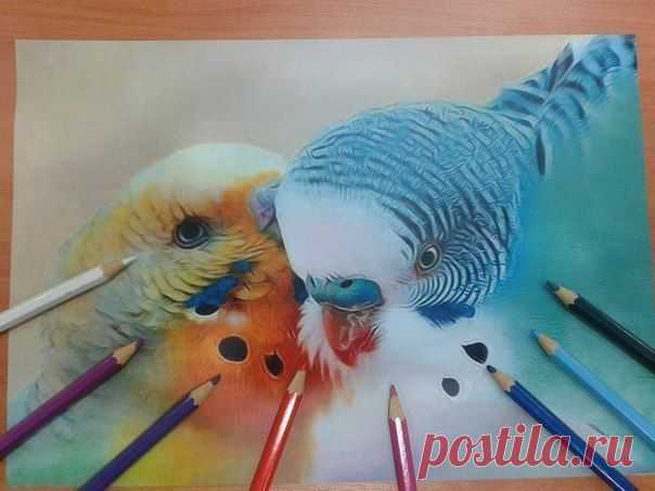 Рисунок цветными карандашами