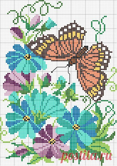 Bellisima mariposa