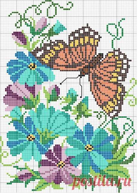 Bellisima mariposa