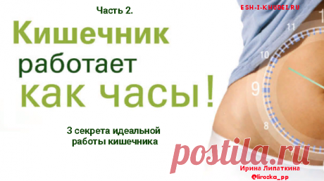 Как наладить работу кишечника  Как наладить работу кишечника? Часть 2. Три секрета идеальной работы кишечника, которые приведут к его идеальной работе. Курс: Нормализация работы кишечника.