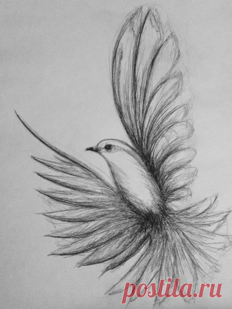 Draw it