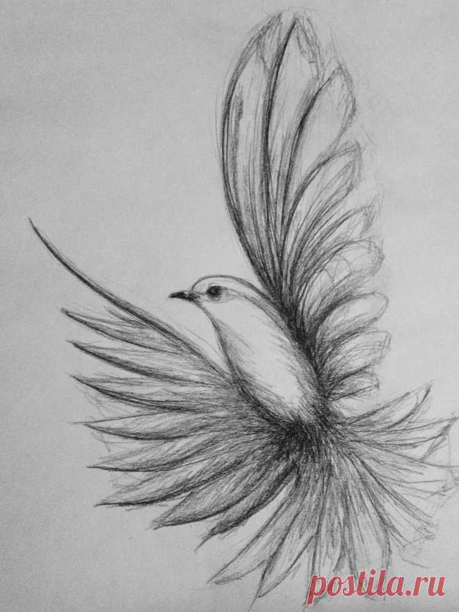 Draw it