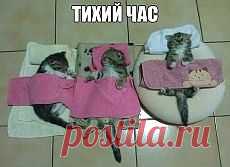 Одноклассники