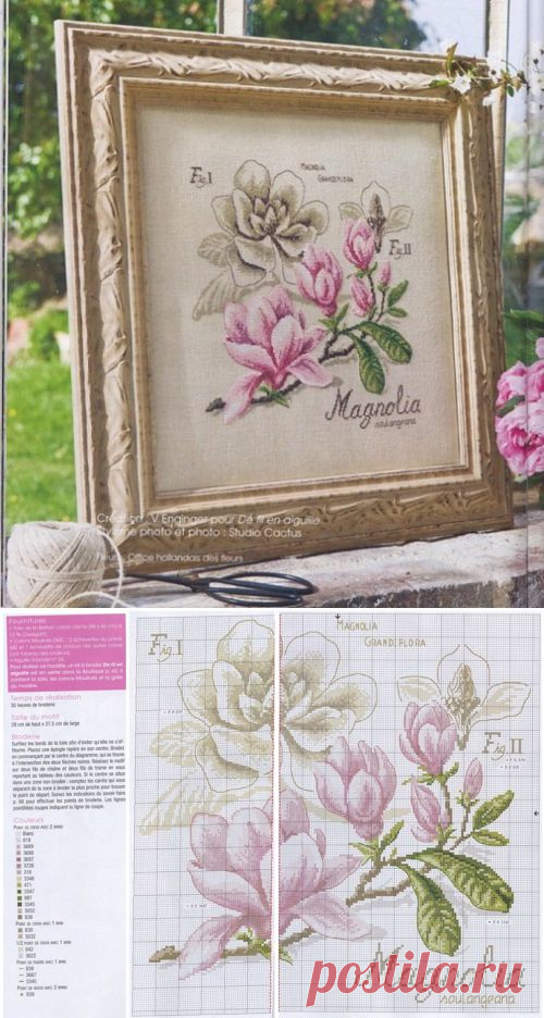 Магнолия из серии "Ботаника" / Вышивка крестом / В рукоделии