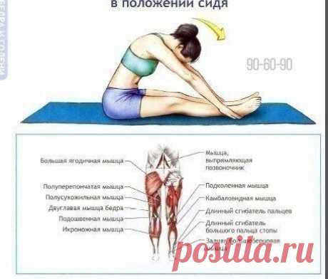 Лучшие упражнения для гибкости и будущего шпагата!