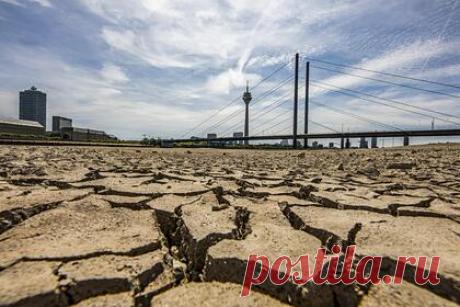 Вызванная изменением климата жара увеличит смертность. Исследователи из Великобритании спрогнозировали увеличение числа смертей из-за жары, вызванное изменением климата. Об этом сообщает пресс-служба университетского колледжа Лондона. Ученые считают, что экстремальные погодные явления будут наблюдаться чаще, что приведет к увеличению количества смертей на 75 процентов.