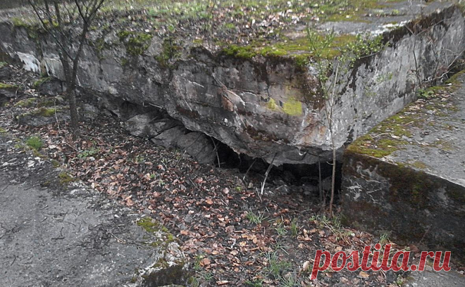 В Польше одобрили поиски бункера, где может быть Янтарная комната. Власти Польши выдали разрешение на бурение скважин и археологические работы в месте, где могут находиться немецкие хранилища времен Второй мировой войны, возможно — Янтарная комната.